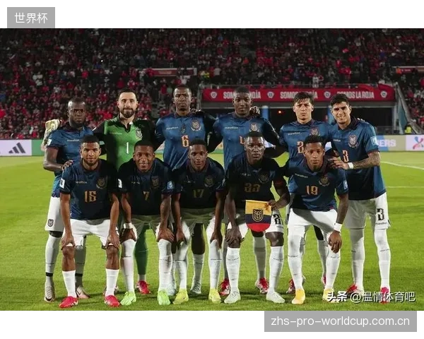 欧洲区预选赛分档严格依据FIFA排名，确保了各小组实力分布的相对均衡。